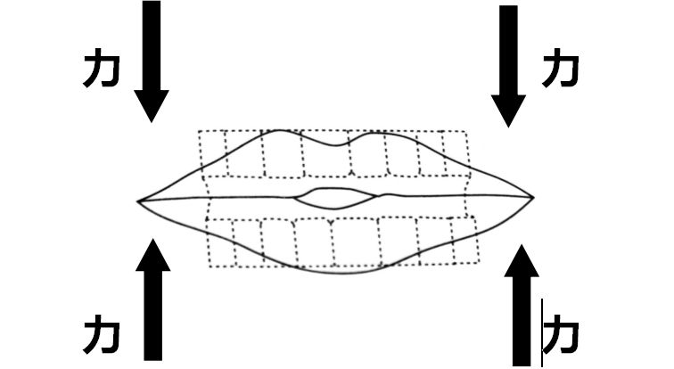 箫音道情--洞箫教学课程_嘴唇