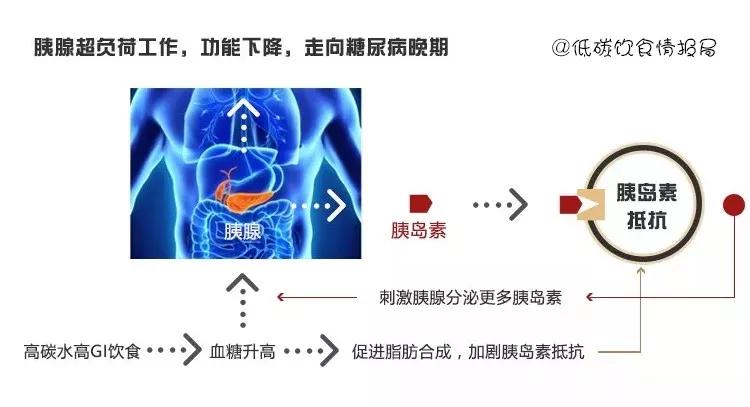 胰腺β细胞分泌胰岛素,如果胰腺功能下降,将不再分泌胰岛素