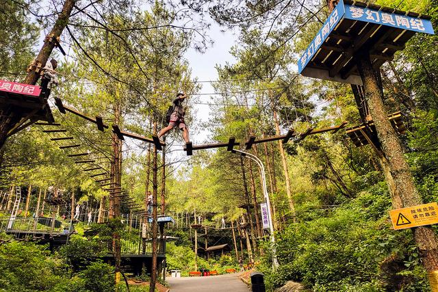 打卡18米的悬崖秋千撕心呐喊尖叫梦幻奥陶纪深度攻略