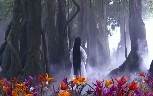 心软无法对腹中的孩子痛下杀手,所以决定到绝情谷底用仅存的时间把孩