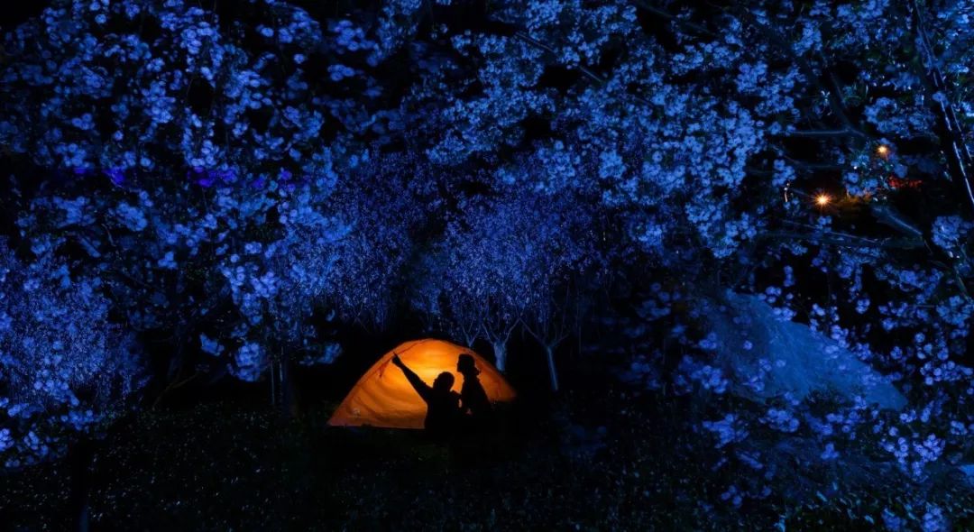 夏夜追凉任朝天吼夜漂撩动你的心弦