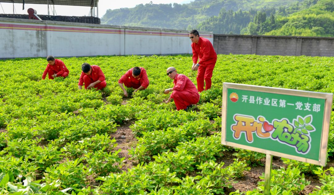 忠县作业区等设立宣传专栏,开辟绿色矿山建设宣传阵地,并开展了绿色