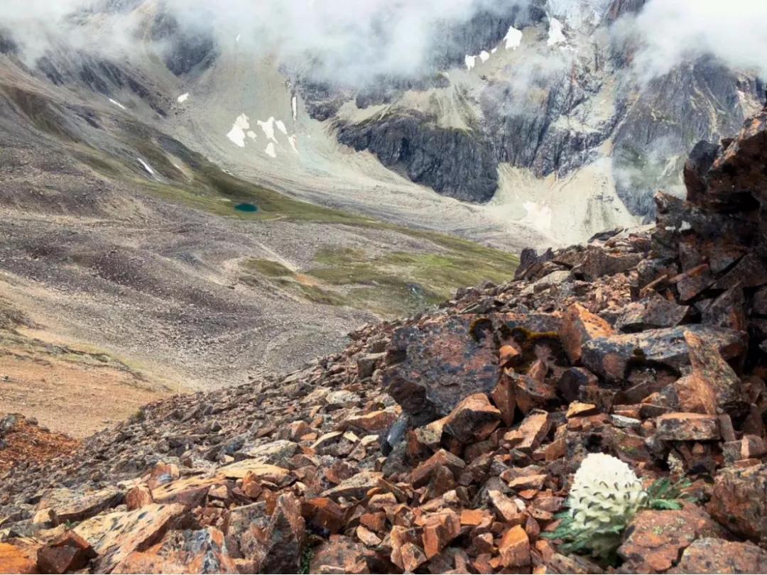 高山流石滩图片