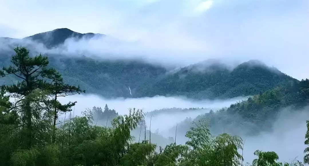 贵溪市双圳林场荣获2019江西避暑旅游目的地称号