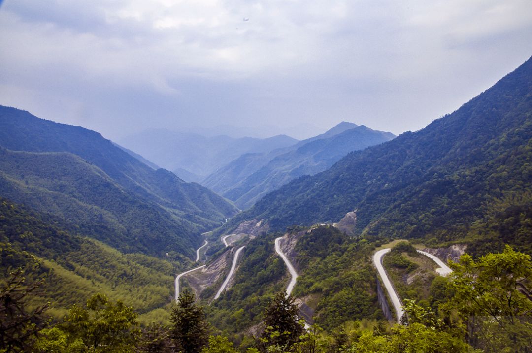 贵溪市双圳林场荣获2019江西避暑旅游目的地称号