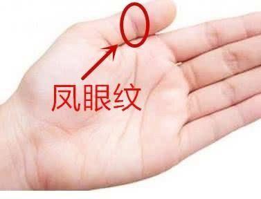 什么是凤眼纹手有凤眼纹好不好