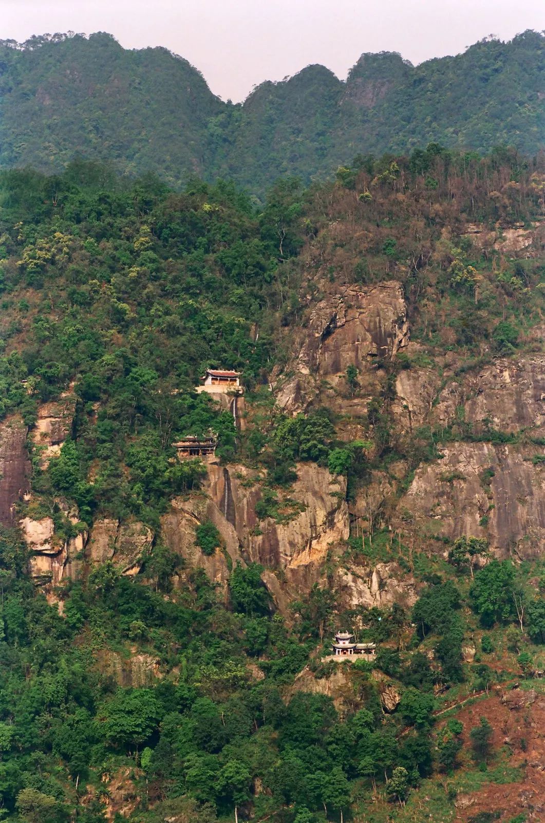 火把节三天!|7月26-28日,逛吃逛喝玩转芒宽!