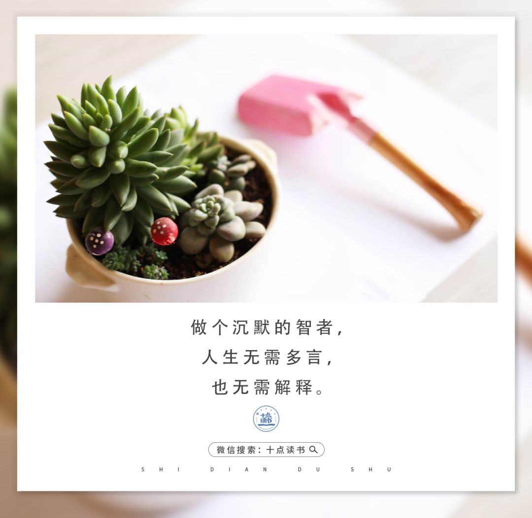 半生已过学会沉默