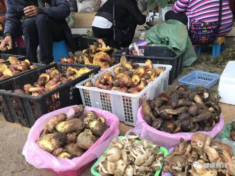 根据监测,我市因进食野生菌中毒事件中以"见手青"所占比例较高.