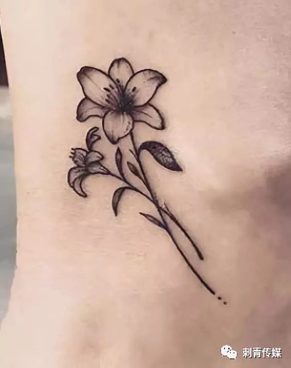 作为纹身圈内四大花卉之一的百合在花卉类纹身里面也是占有一席之地的