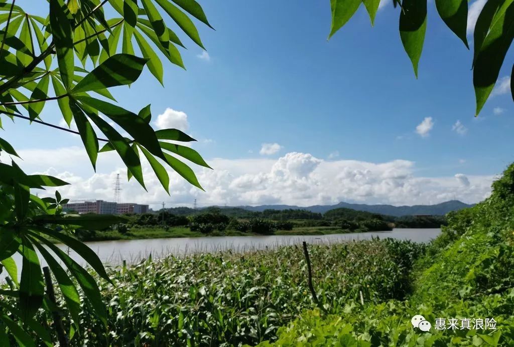 走马惠来葫芦潭古杭镇北水库和雷岭河
