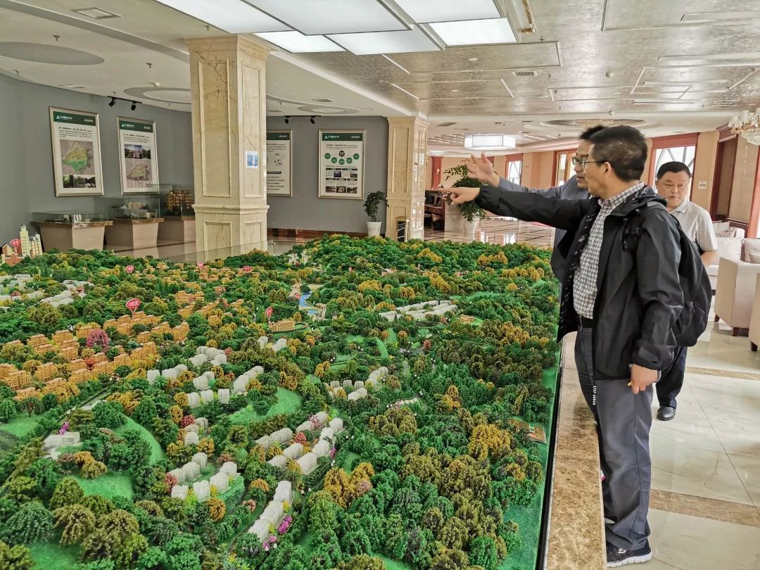 森林康养:国有林场和森林公园发展新方向