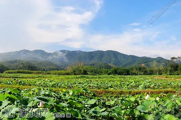 文明實踐龍門縣領導帶隊開展養殖產業調研