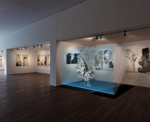 韩东成和范超是中科大的研究生,一个学的是光学,一个学的是理论物理