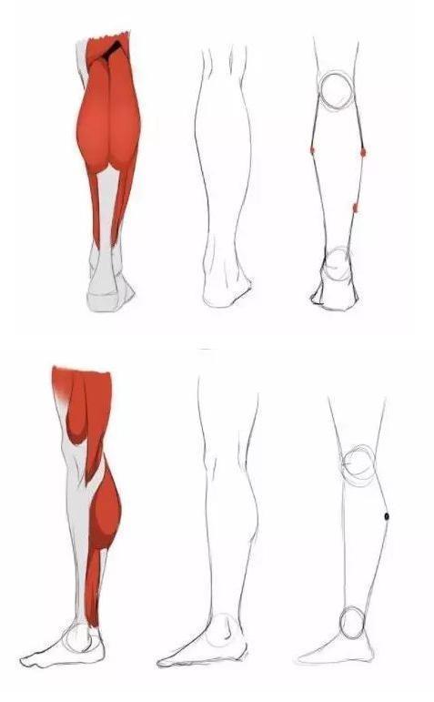 超详细教你如何绘画人物的小腿!_线条
