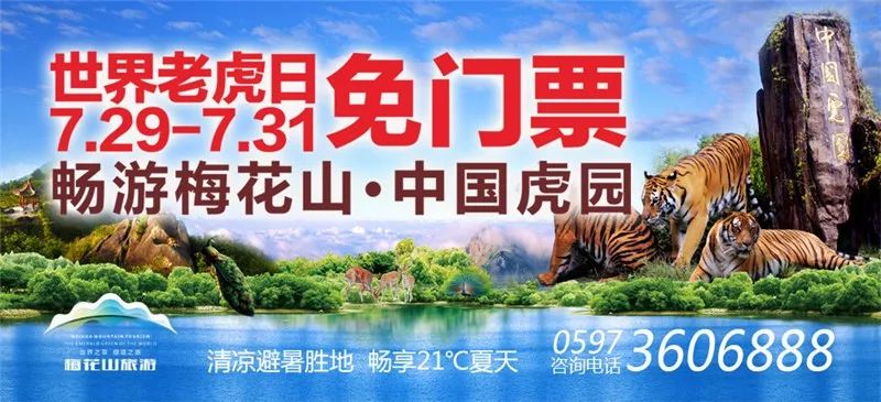 7月29日至31日世界老虎日免门票畅游梅花山虎园