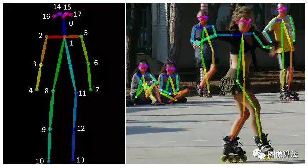 单人或多人的人体姿态骨架估计算法概述_姿势