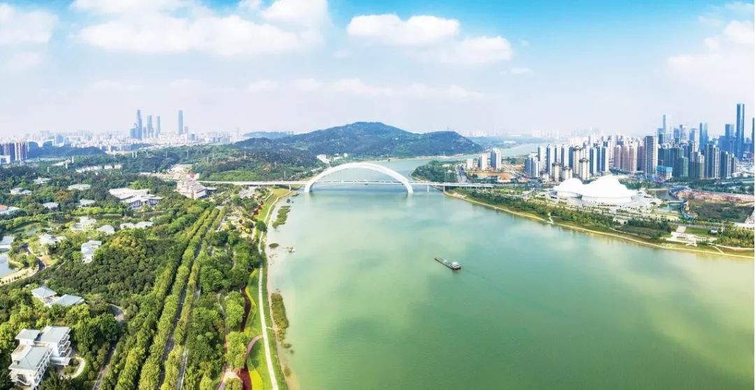 联合采访团乘坐大巴车前往采访点,行至南宁大桥时,两岸记者看着邕江边