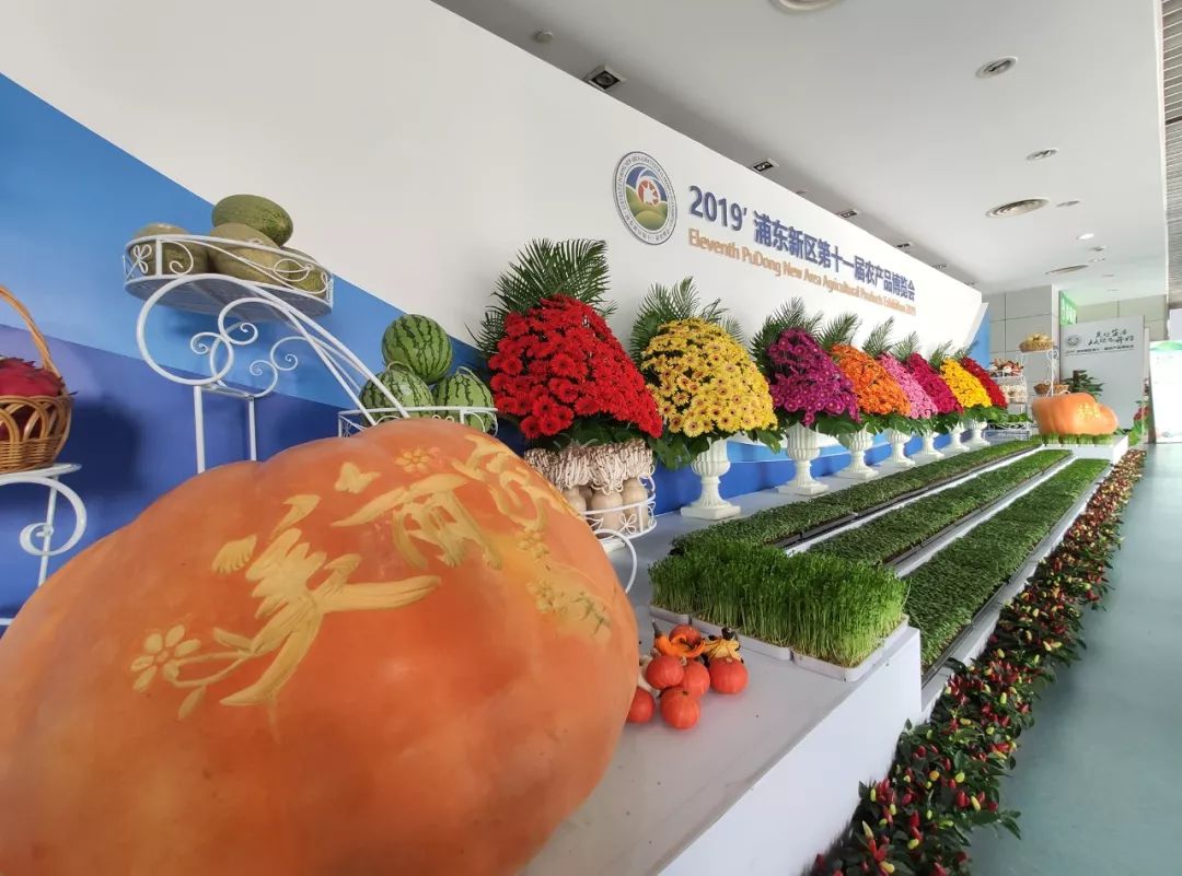 108个展位600余品种一年一度农博会盛宴今日开幕