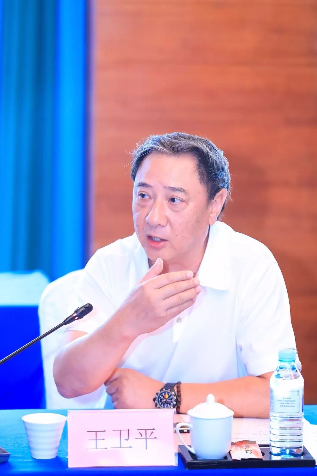 中国传媒大学艺术学部党委书记彭文祥从题材,类型,风格和审美体验四个