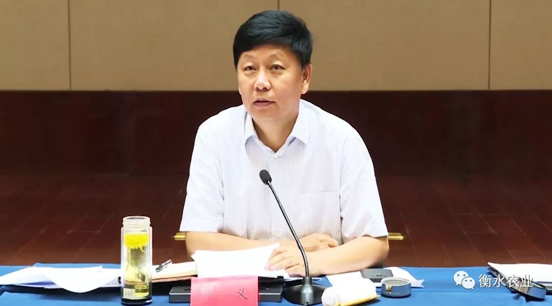 衡水市乡村振兴工作领导小组第二次会议召开_邸义