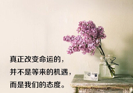 满目星河:缘起缘灭皆有因果，君若信我，必不相负
