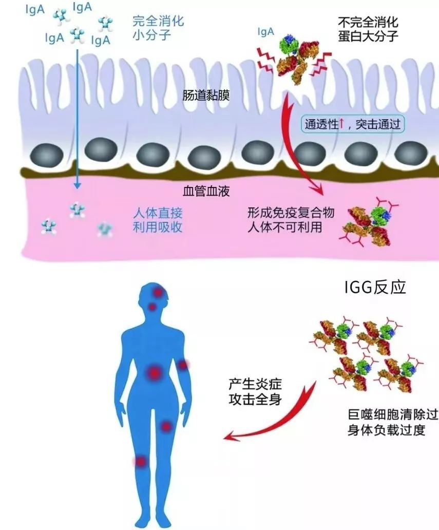知否!孩子腹泻,湿疹总不好罪魁可能隐藏在食物中
