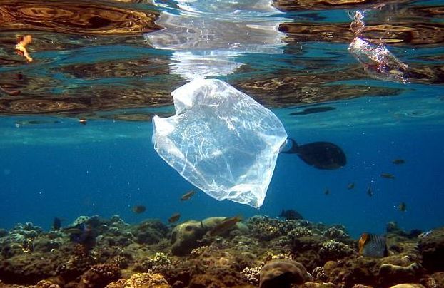 与垃圾共舞袋中海洋海底世界微塑料是指粒径小于5毫米的不规则塑料