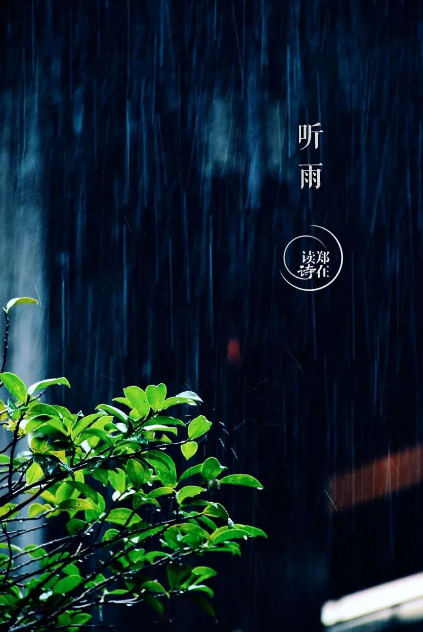 喜欢在窗下听雨,羞答答的雨声,一滴滴都是你 