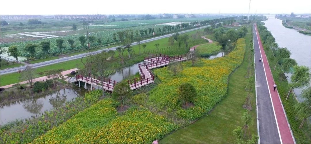 王江泾自驾游吃住行游购娱六件套最全攻略