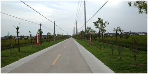 海安市李堡镇杨庄村改造提升显成效为美丽乡村建设点赞