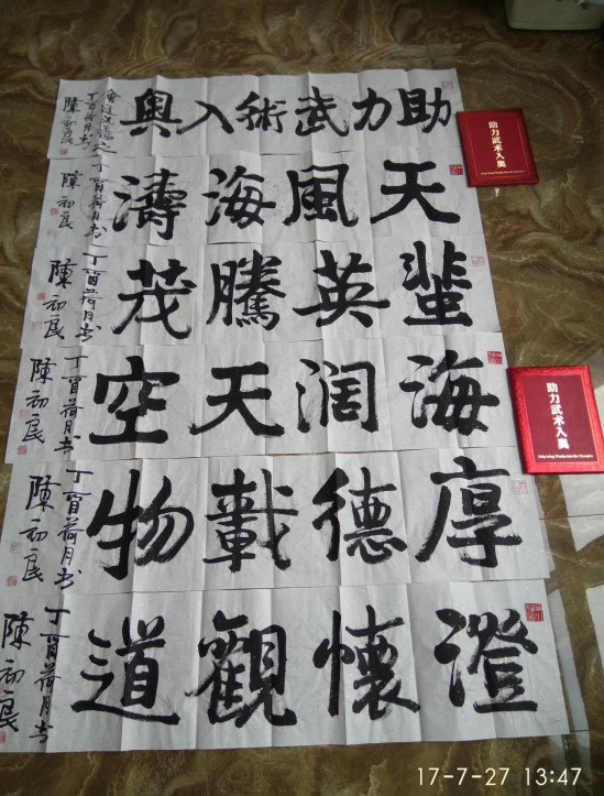 笔系河山心系天下国家一级美术师陈初良呼吁助力武术入奥