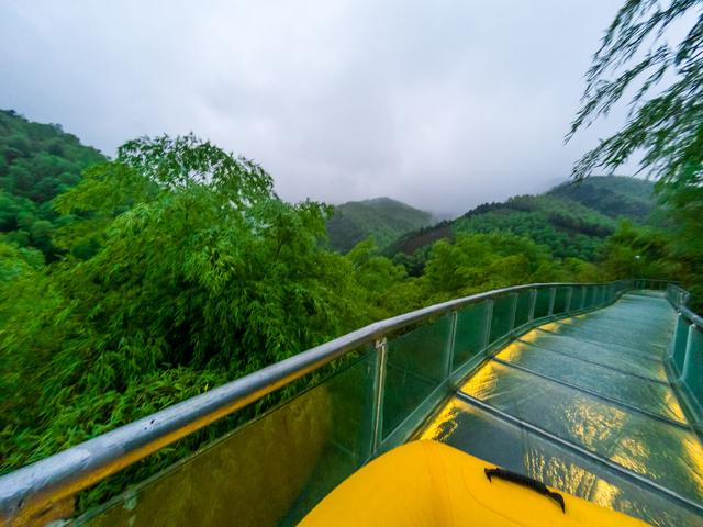 在安吉的雲端竹海中解鎖夏日漂流新姿勢