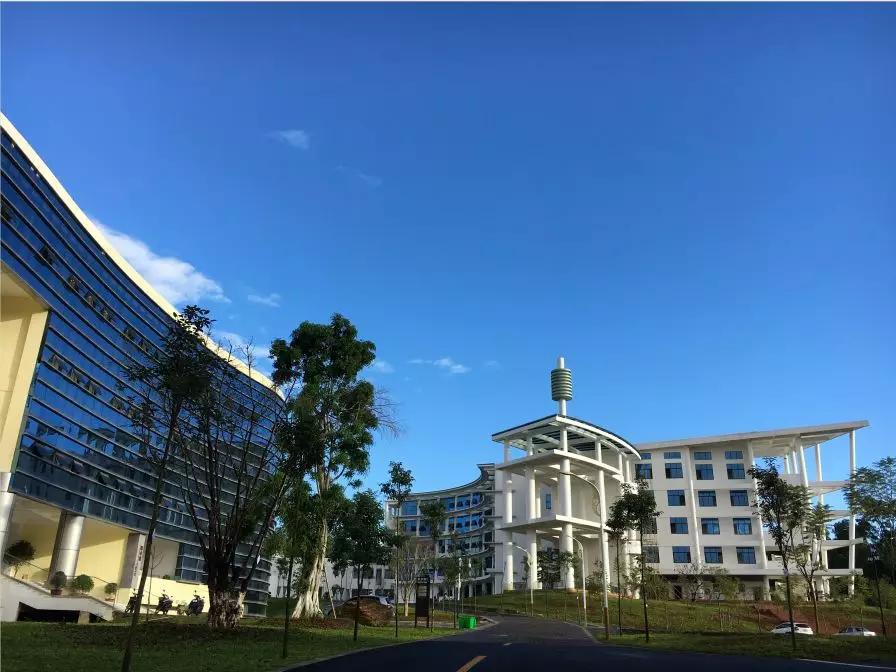 云华集团五大特色学院,专属定制成就学子职业梦想!_发展