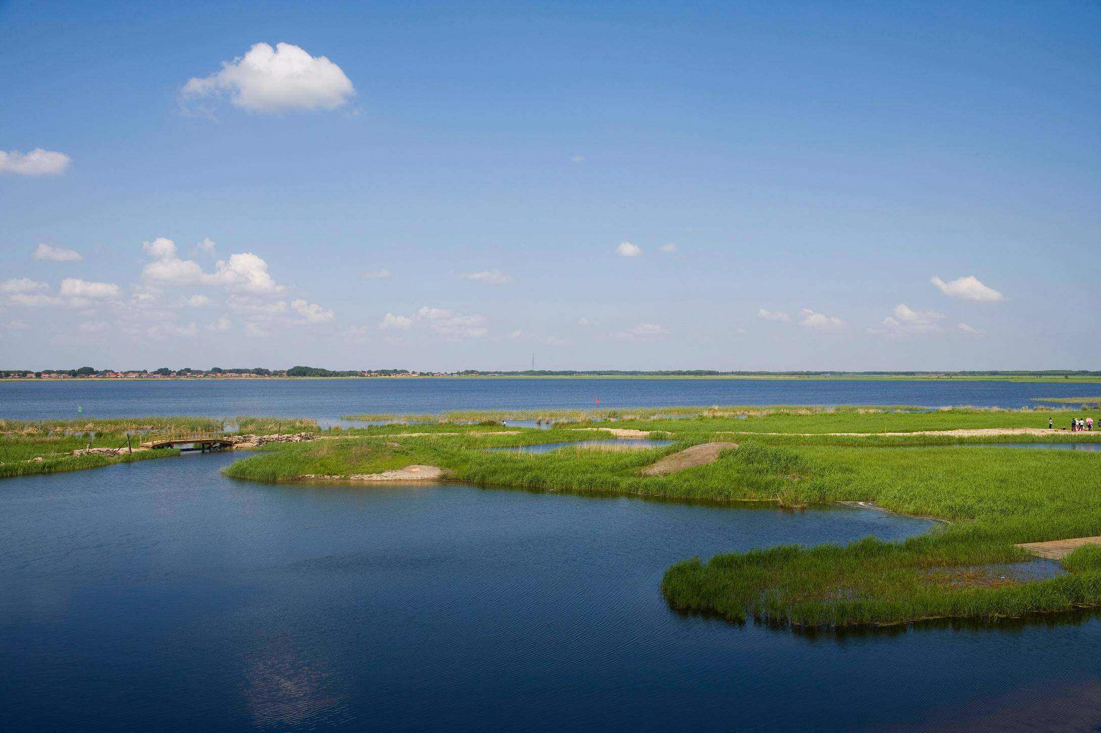 世界最大的芦苇湿地扎龙湿地