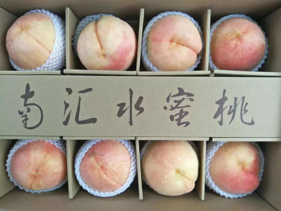 倒计时10天大宁公园直销南汇水蜜桃最低价每斤6元