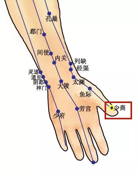 少商准确位置图和功效图片