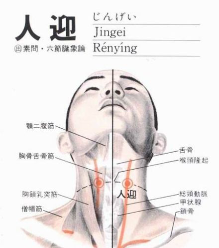 人迎寸口诊法图片