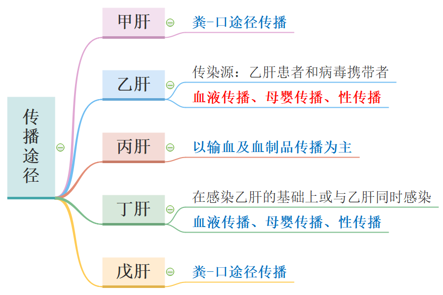 主要传播途径?6肝炎的早期症状?5全球有多少病毒性肝炎患者?