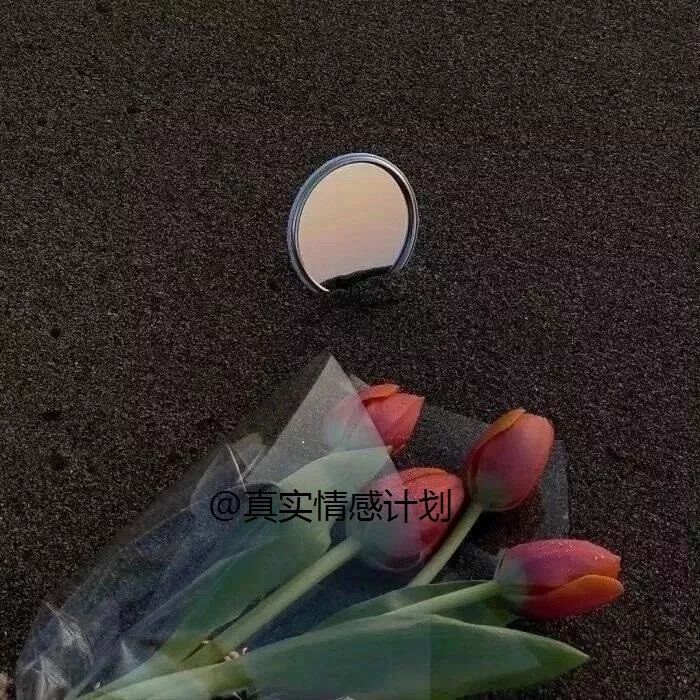 抖音上最火的背景图啊啊啊啊啊想要