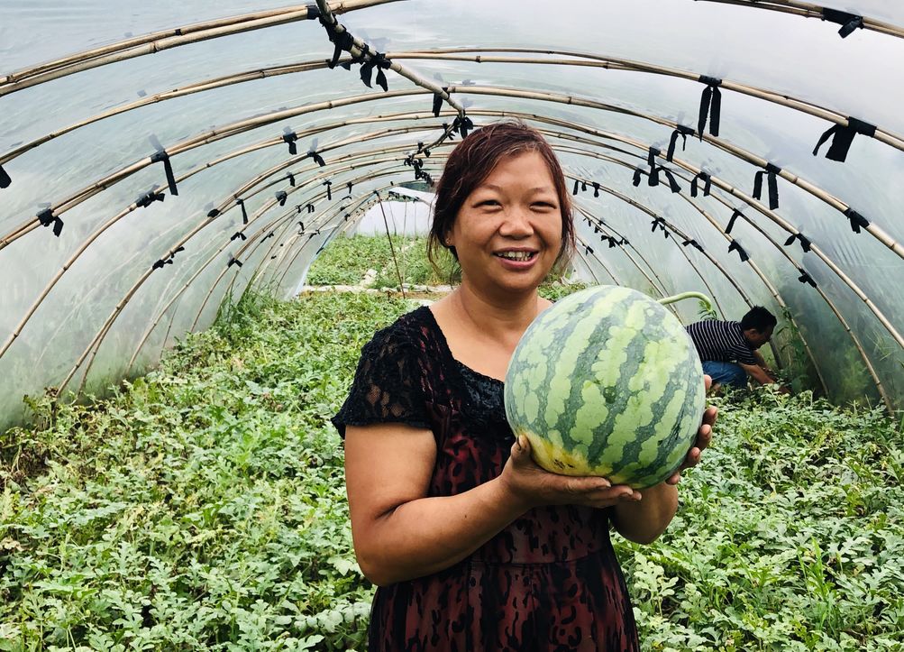 厉害隘口这个人种瓜种出了好日子