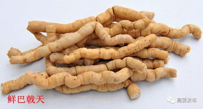 打造黄金文化特色小镇探索乡村旅游新模式这个镇密谋乡村振兴发展大计