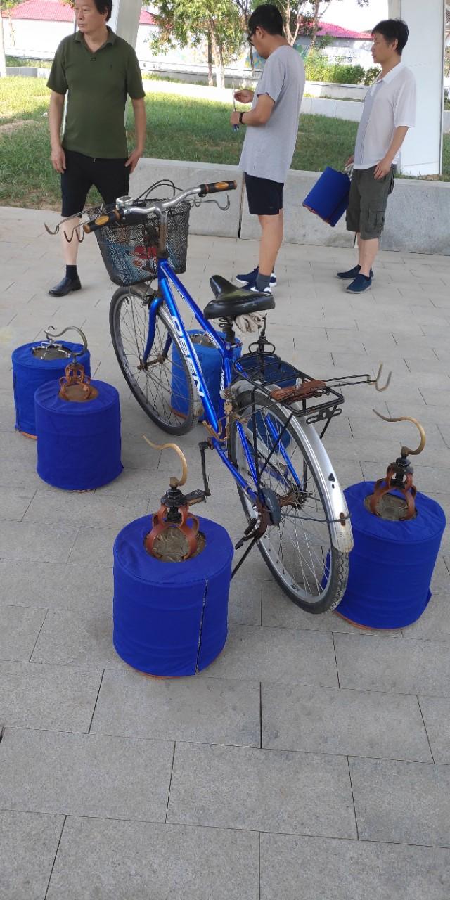 北京城最后的遛鸟人