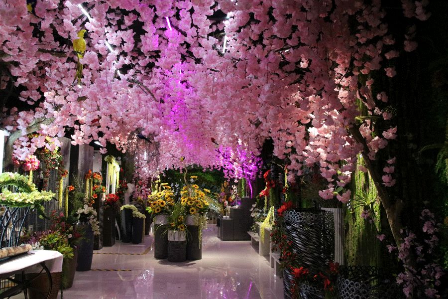 世界春城花都赴一场春暖花开之旅斗南逛花花世界享花花生活