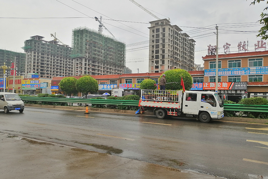 合隆镇加强绿化养护管理力度