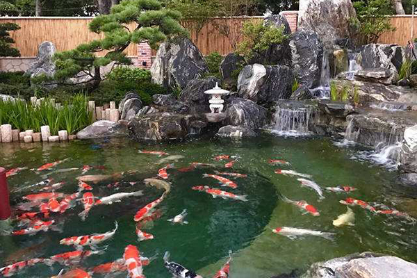 不同风格的庭院鱼池景观