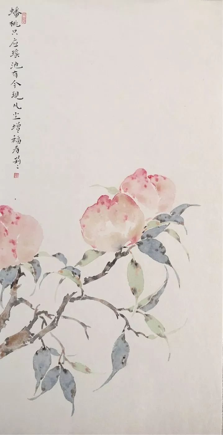 张莉莉没骨花卉和果实网络班8月30日开课