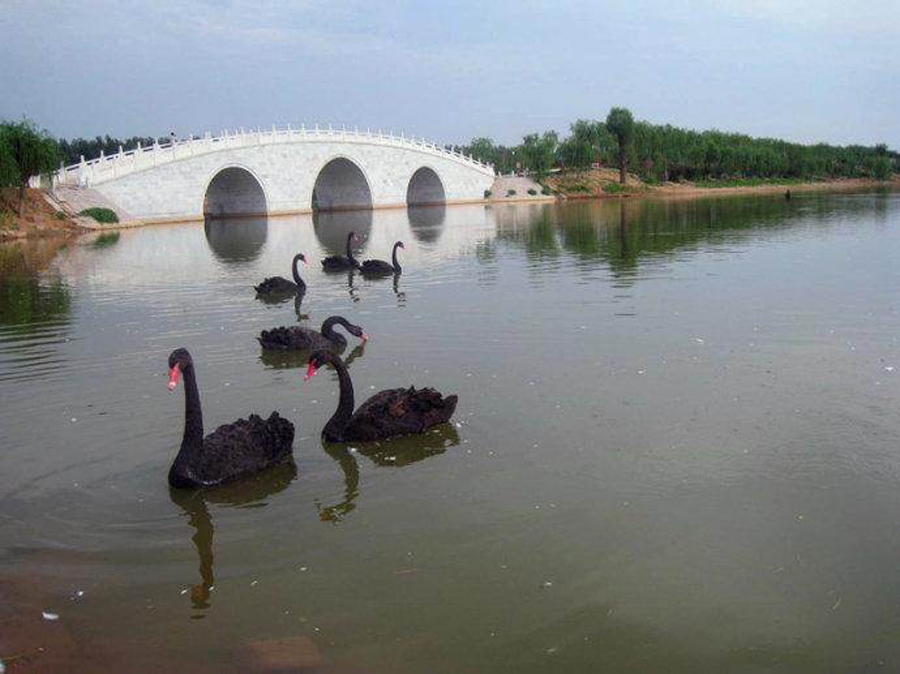 河北邯郸市最小的县,别称"鹅城",拥有东湖水上公园