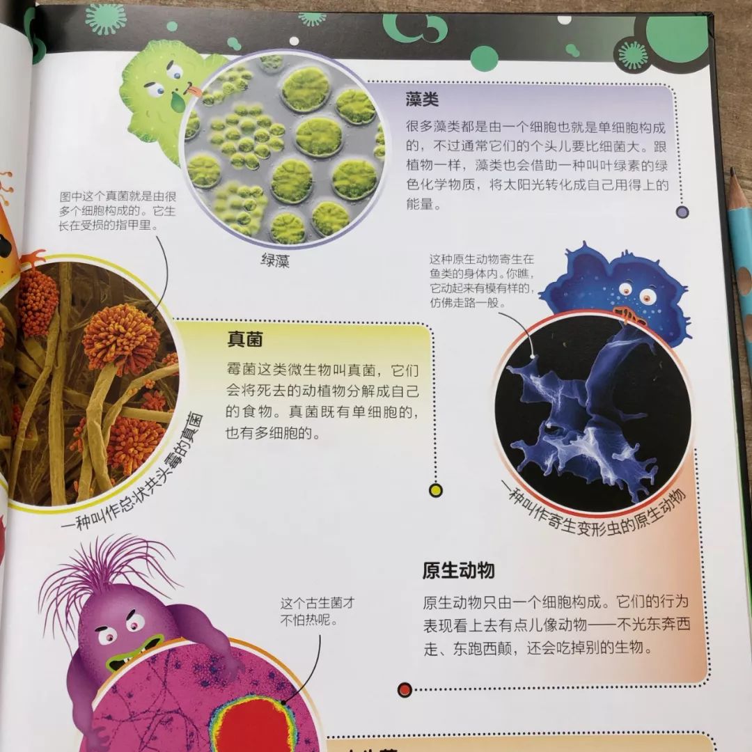全球首套让孩子轻松认识微生物的趣味科普绘本