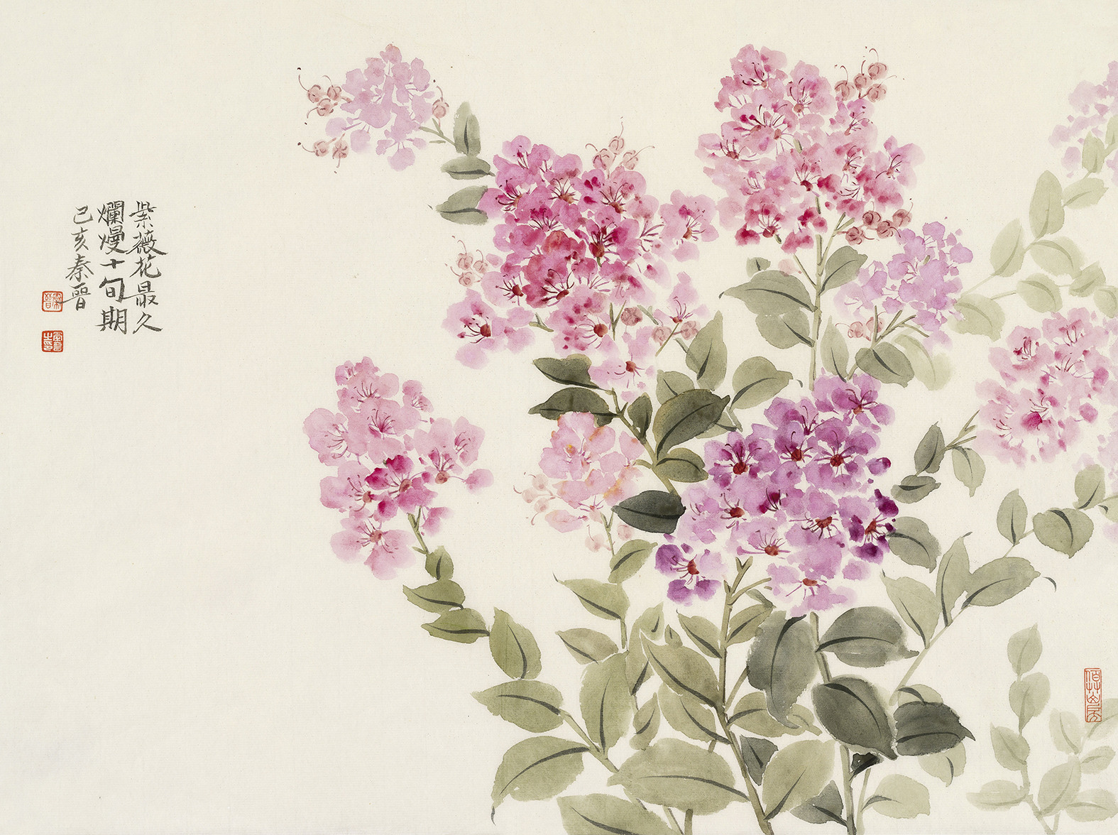 宋秦晋 百日红 纸本设色 45x34cm2019在艺术家笔下的紫薇花活了晚迎秋